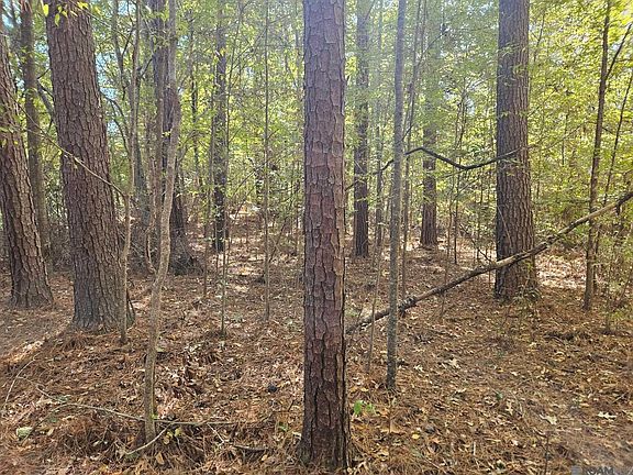 3rd image of 9853 Tunica Trce