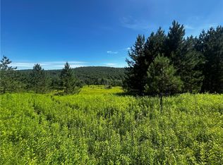 Mary Brown Hill Rd, Laurens, NY 13796
