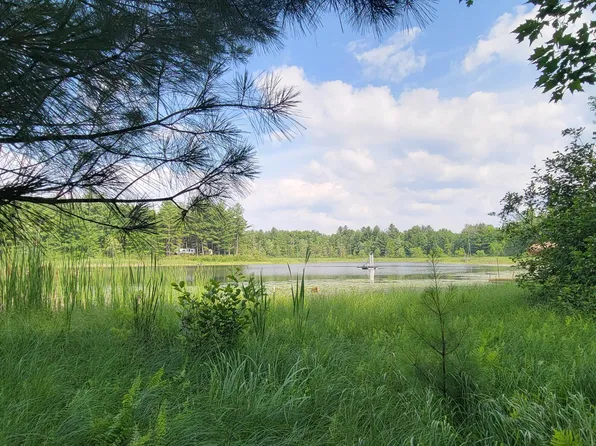 6464 S Weekend Ln, Baldwin, MI 49304