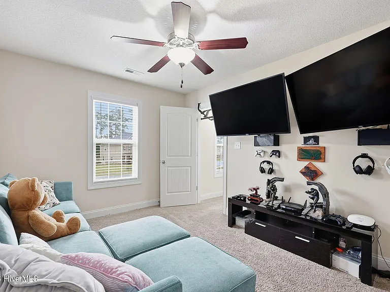 317 Little Egret Ln — Photo 36