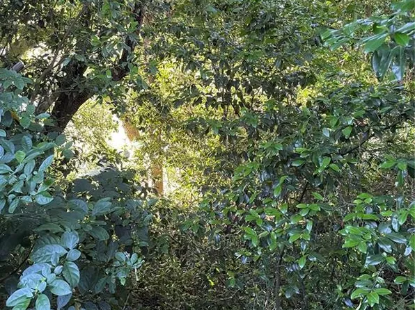7257 S RAINBOW POINT LOT 8E, HOMOSASSA, FL 34446