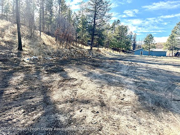 2nd image of 103 Alpine Village Rd