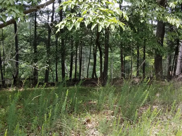 103 Bailey Blvd, Hardy, VA 24101
