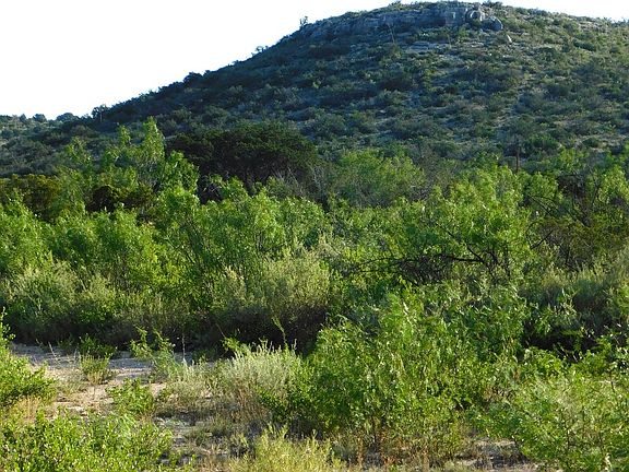 2nd image of LOT 32 NW HWY 190