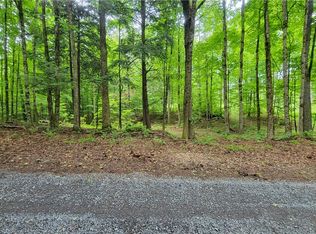 7710 White Pine Ln, White, NY 13343