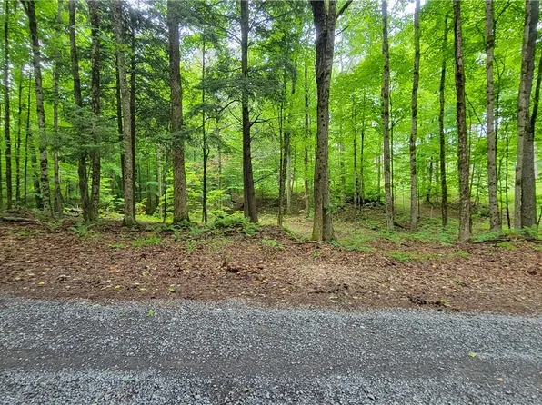 7710 White Pine Ln, White, NY 13343