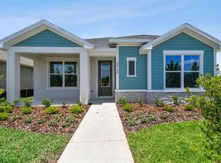 28768 Rambutan Dr, Wesley Chapel, FL 33543