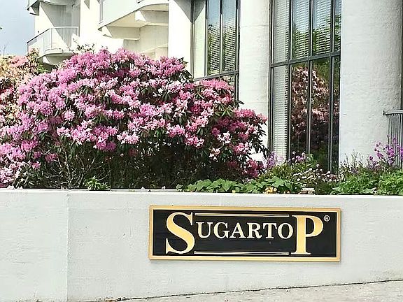 3rd image of 303 Sugar Top Dr #2405
