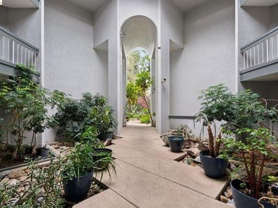 1591 Ellis St APT 105, Concord, CA, 94520