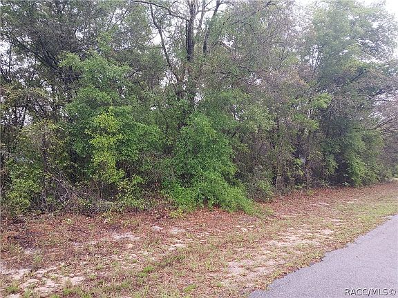 3rd image of 7851 N Vince Dr