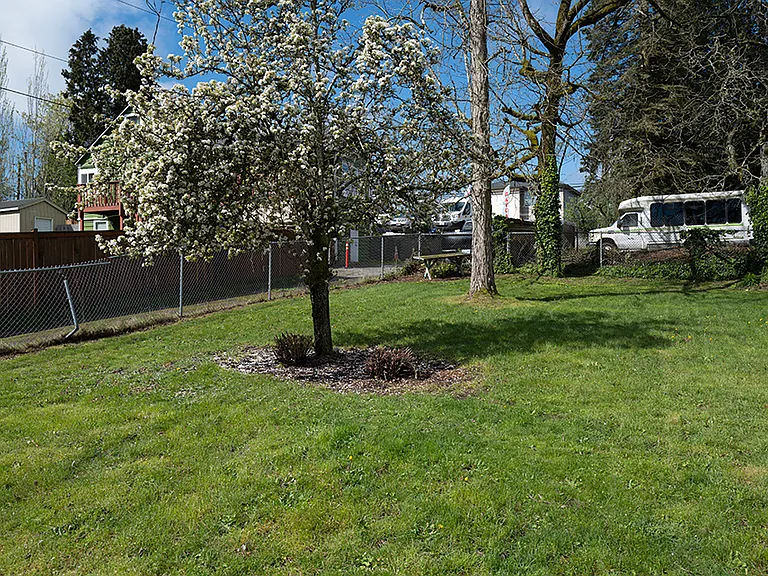 back yard - this is where construction will be happening