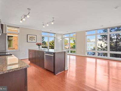 915 N Patrick St APT 305, Alexandria, VA, 22314