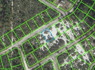 808 Durmon Ave, Lake Placid, FL 33852