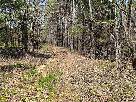 2nd image of 0 County Road 621