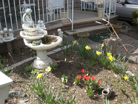 Front Landscaped Garden