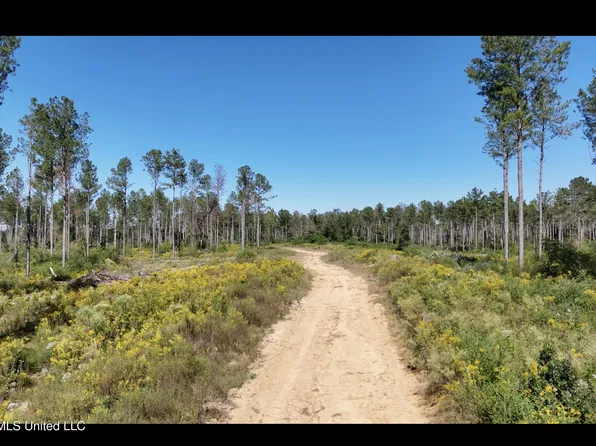 Rutland Rd, Jayess, MS 39641