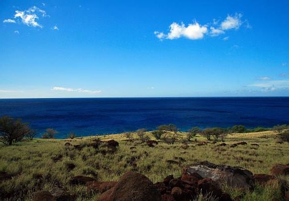 3rd image of Akoni Pule Hwy Lot 14-1