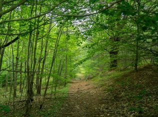 State Route 29, Salisbury center, NY 13454