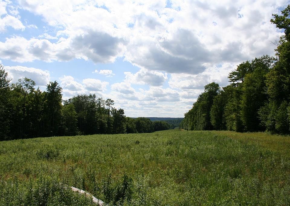 0 Hertenberger Rd, Sabinsville, PA 16943 Zillow