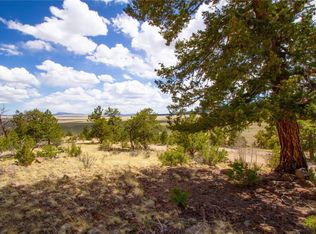 283 Ladigo Ln, Hartsel, CO 80449