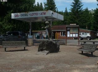 16842 Lewis River Rd, Cougar, WA 98616