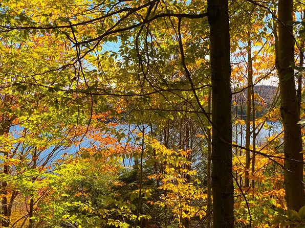 52-1-13 Route 28, Old Forge, NY 13420