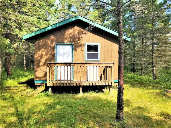 4017 11th St SW, Baudette, MN 56623