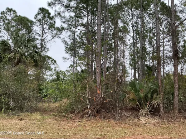 137 Santa Rosa Ave SW, Palm Bay, FL 32908