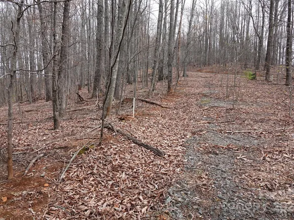 101 Sky Ridge Dr, Bostic, NC 28018