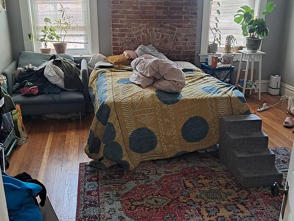 3rd image of 3325 Pestalozzi St