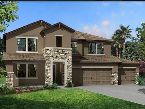 11003 Rosso Della St, Riverview, FL 33578