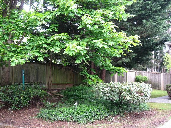 Beautiful, treed entrance 