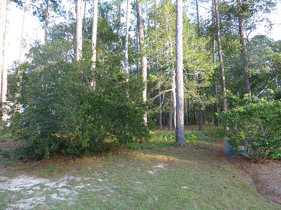 3rd image of 3849 Timber Stream Drive