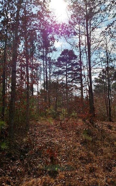 2nd image of Railroad Rd