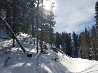 848 E Bison Creek Trl, Divide, CO 80814