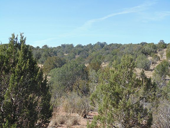5th image of 57154 N Bridge Canyon Pkwy