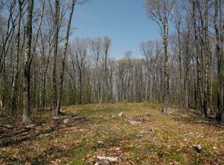 0 Norfolk Rd, Southfield, MA 01259