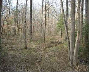 2nd image of 2642 Attala Road 5015