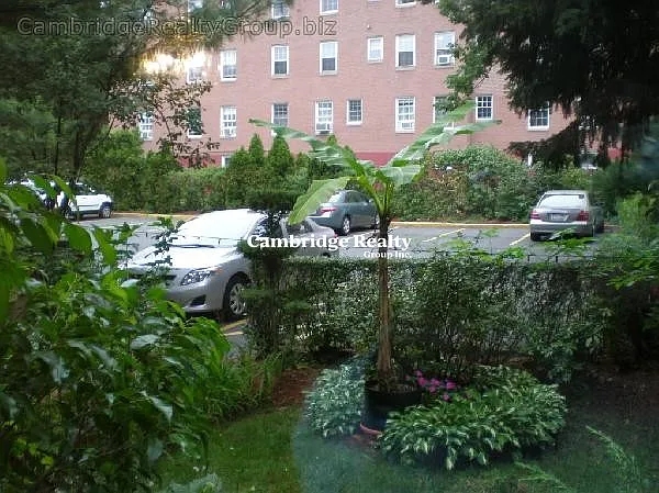 55 Parkman St #T — Photo 7
