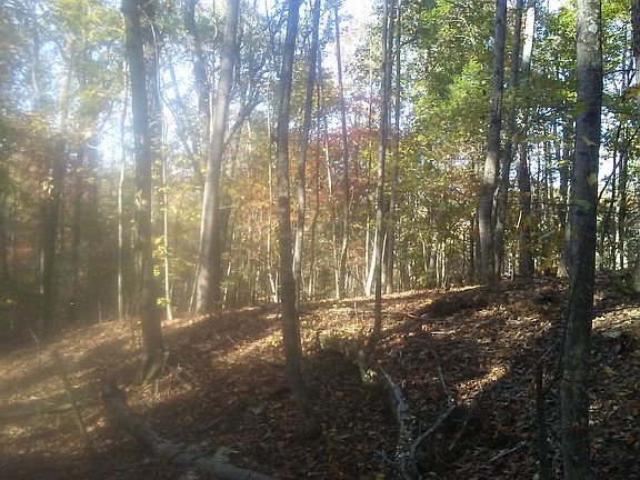 2nd image of 1563 War Hill Park Rd