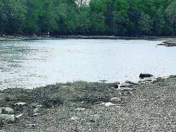 2nd image of 1955 River Mist Cir