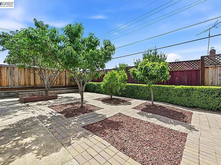 845 Cottonwood Dr — Photo 6