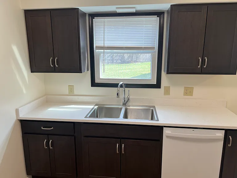 View from Kitchen Sink & New Dishwasher