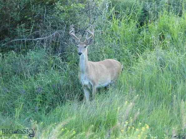 Nkn Madison Rd, Three Forks, MT 59752