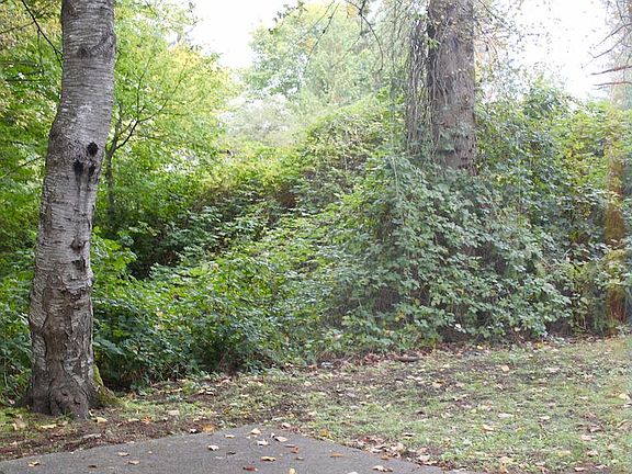 5th image of 7102 35th Ave NE