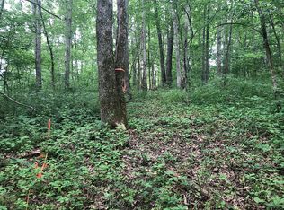 6 Big Tom Ct, Hawk Point, MO 63349