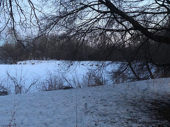 3rd image of 3501 Sunset Rd