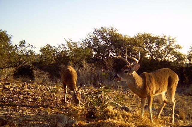 1st image of 1165 County Road 398