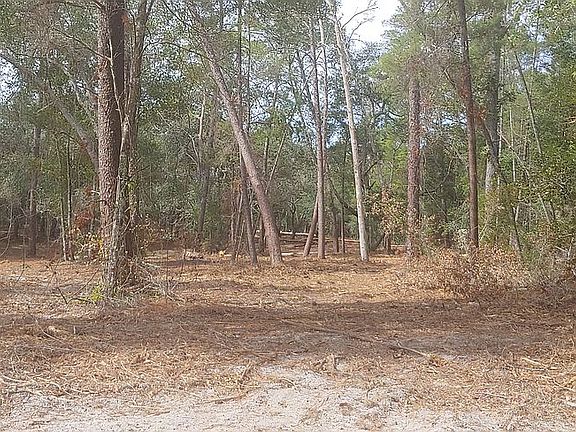5th image of 4646 N Orange Grove Dr