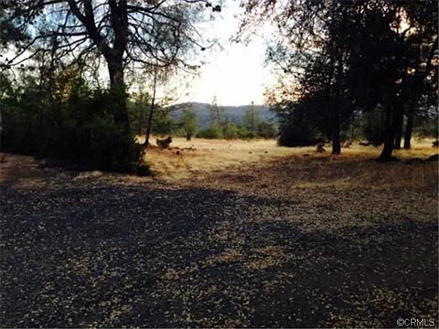 10 Roosa Way photo 1
